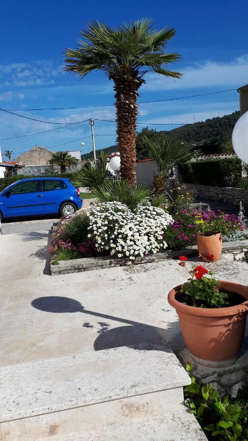 Home Padovan Palit Kültér fotó